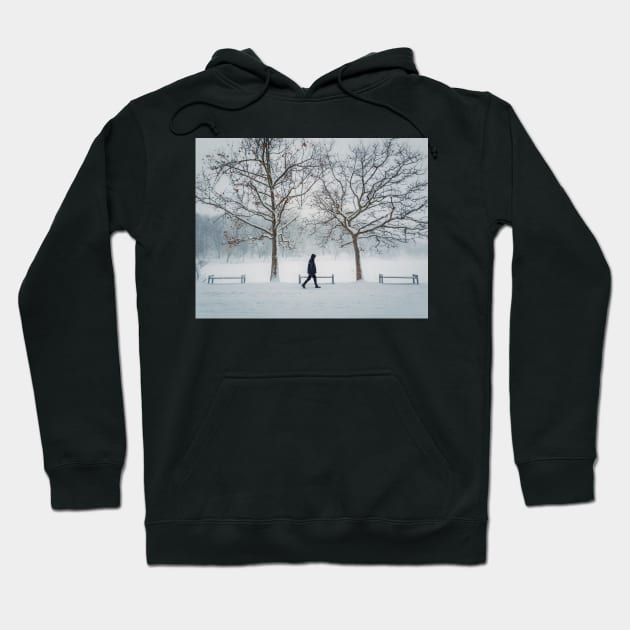 a walk in the park Hoodie by psychoshadow